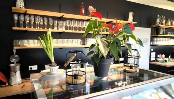 Bistro u Dvou přátel Lučany - 468 71 Lučany Nad Nisou
