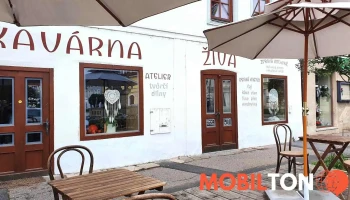Kavárna Živa - Nám. 5. Května 25