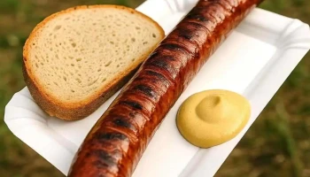 Mělice Pláž U Fíka - 535 01 Přelouč