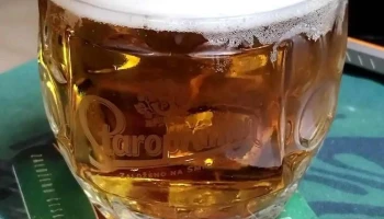 Pivnice „u Medvěda“ - 471 54 Cvikov Ii