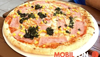 Pizza House Terezín - Dlouhá 24