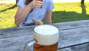 Pohostinství u hřiště - 783 56 Doloplazy
