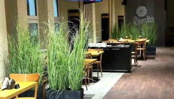 Restaurace Na Ostrově Pilsner Urquell - Žižkova 3329