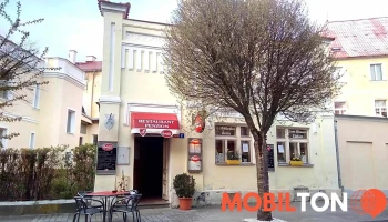 Restaurace u Modrého Slona - 01 Františkovy Lázně