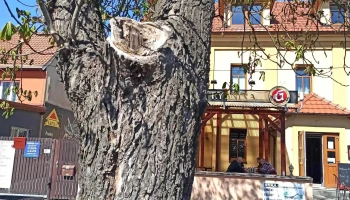 Restaurace U Rybníka - J. Štulíka 632