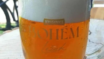 Stodola Na Donu - 562 01 Ústí Nad Orlicí 1