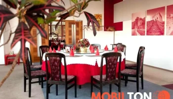 Čínská restaurace Luna Most - Čsl. Armády 1831