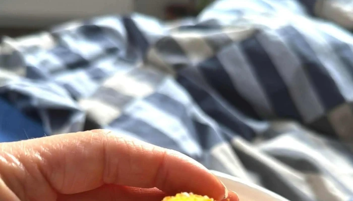 123pizza Webova Stranka - Slov. Nár. Povstání 2206