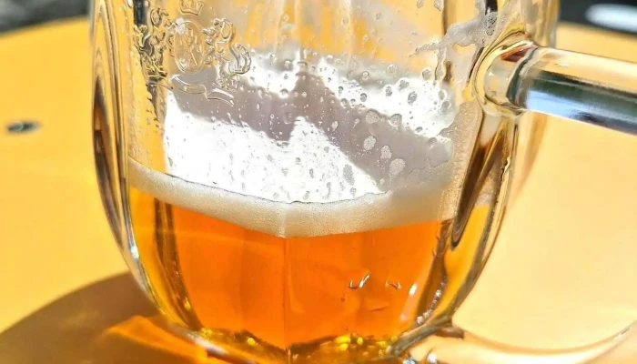 Altan Stromovka Vse - Rašínova