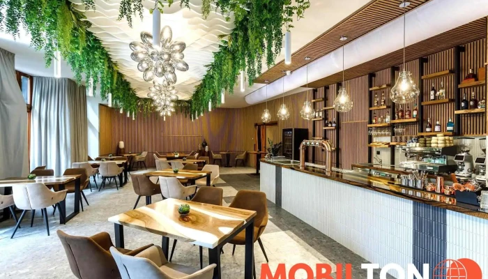 asado grill - 779 00 Olomouc 9