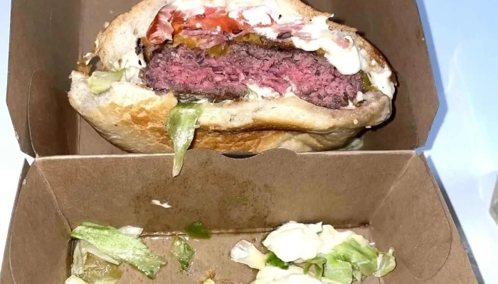 Avalanche Burger -  Vse - Cesta Svobody 220/20
