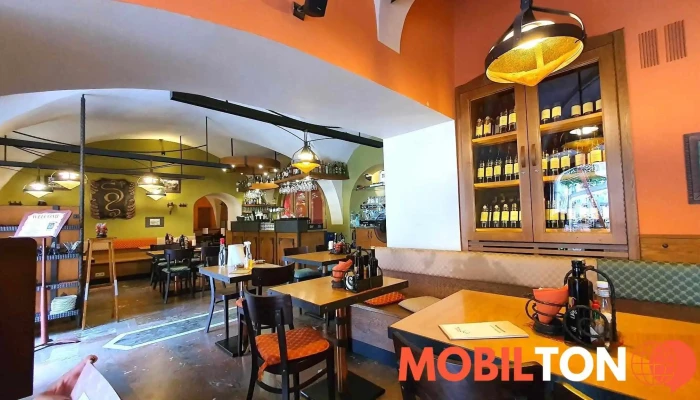 Beer Restaurant U Zlatého Hada - 110 00 Staré Město