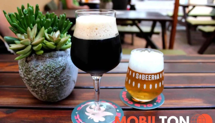 Beertime -  Jidlo A Piti - Mrštíkova 1165/10