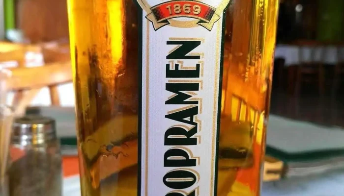 Benedikt Most -  Pivo - Rekreační 1048