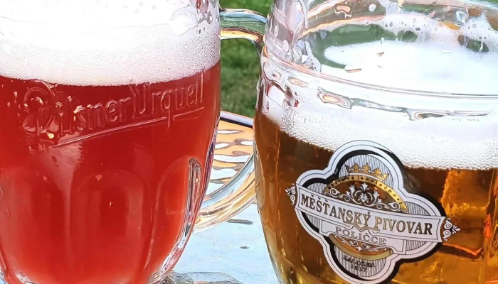 Bistro Na Chodske Bufetova Restaurace - Chodská
