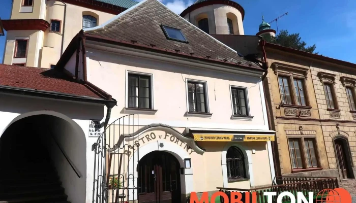Bistro U Fortny - 570 01 Litomyšl-Město