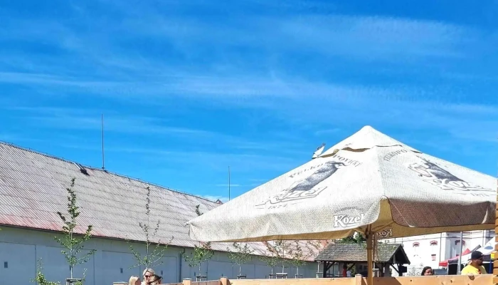 Bistro U Kozicek Ringhofferova 1 - Ringhofferova 1