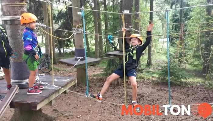 Borovinka Les Resort -    Sportovni A Rekreacni Areal Od Hostu - Domanín
