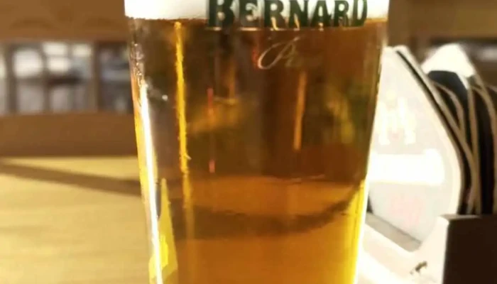 Bucicky Mlyn Pivo - Podolí