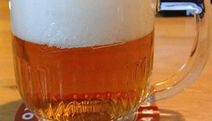 Budvarka Zlin Nejnovejsi - Nám. Práce 2523