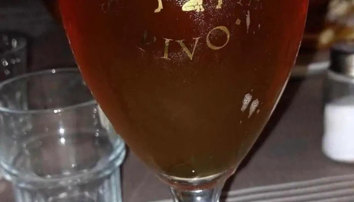 Café Bar U Vodní Branky - 783 91 Uničov 1