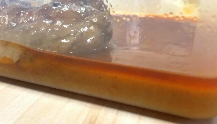 Ch Food U Borove 69 - U Borové 69