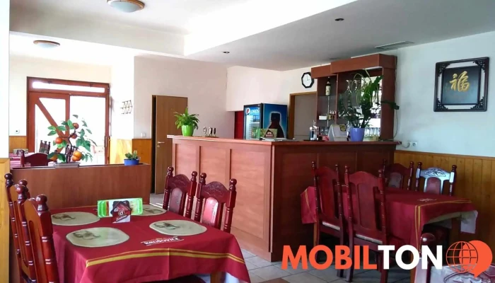 Cinska Restaurace Peiking Vzhled A Atmosfera - Palackého Nám. 3
