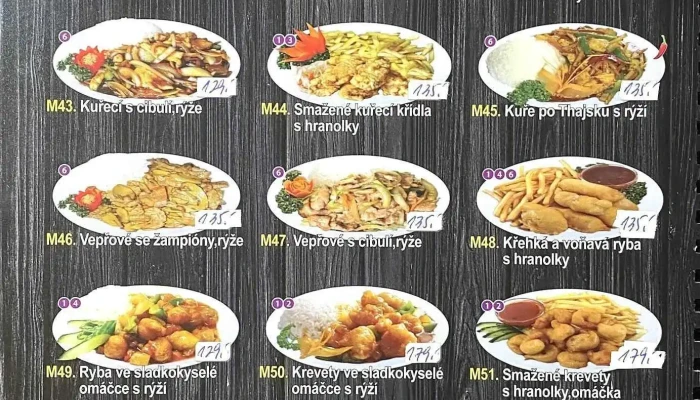 Cinska Restaurace Shan Shui Ren Jia Menu - Mírové Nám. 52