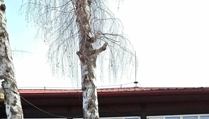 Country Hospoda Na Ostrove Restaurace - Ostrov 162