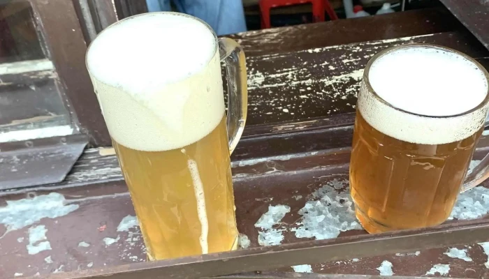Craft Beer Pub -    U Skvoru Hledam - Václavská 64