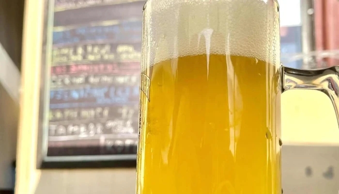 Craft Beer Pub -    U Skvoru Recenze - Václavská 64