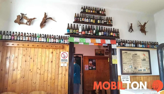 Craft Beer Pub -    U Skvoru Vzhled A Atmosfera - Václavská 64