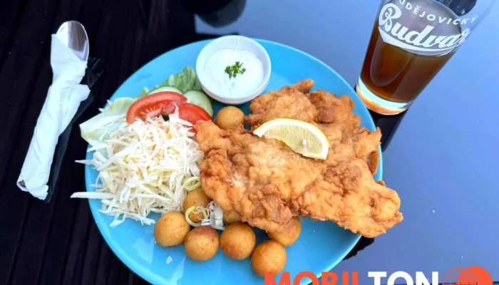 Falco Restaurant -  Rizek - Dubí-teplice 1