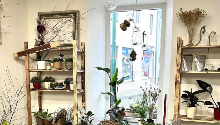 Flower Coffee -  Masarykovo Nam 31 - Masarykovo Nám. 31