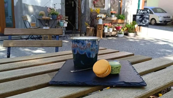 Flower Coffee -  Nejnovejsi - Masarykovo Nám. 31