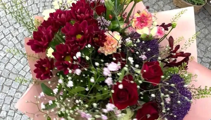 Flower Coffee -  Od Vlastnika - Masarykovo Nám. 31