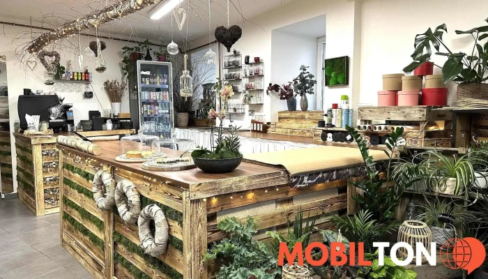 Flower Coffee -  Vse - Masarykovo Nám. 31
