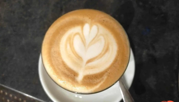 Franqueza Cafe -  Cappuccino - Masarykovo Nám. 60
