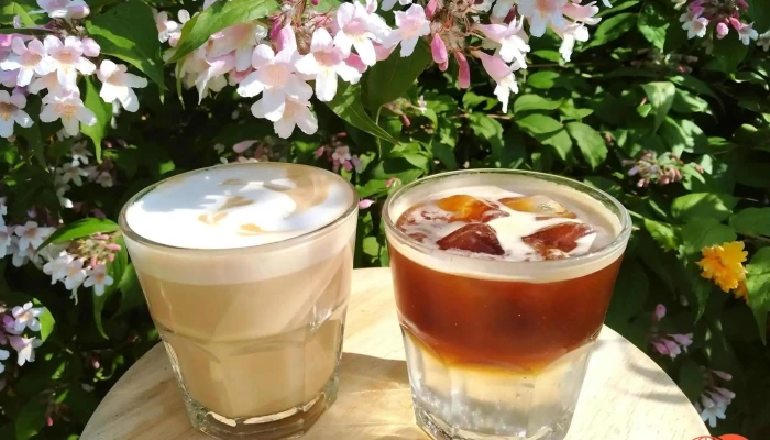 Franqueza Cafe -  Kava - Masarykovo Nám. 60