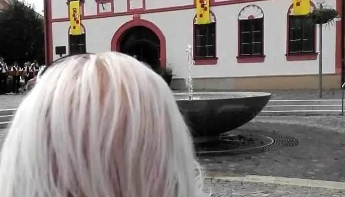 Grand Restaurant Poppet -  Videa - Žďár Nad Sázavou 5
