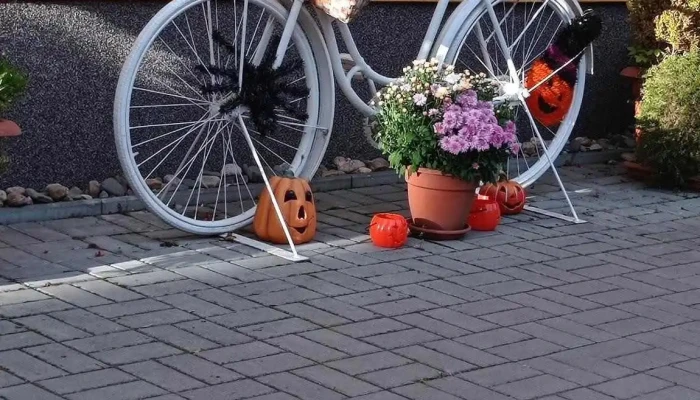 Hospoda U Vlku Vse - Žižkova 19