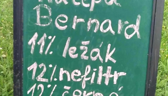Hospudka Jiricka Menu - Czech Republic