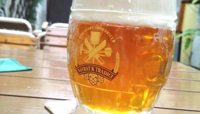 Hospudka U Kovarny Prazdroj - Lešetín I 610
