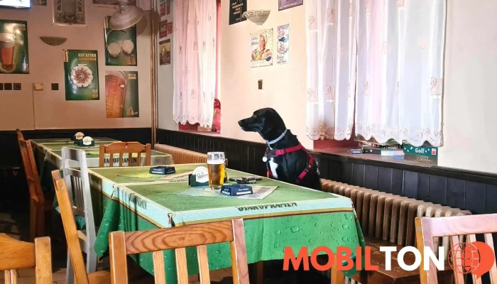 Hospudka U Mlyna Vzhled A Atmosfera - V Zahrádkách 267 29