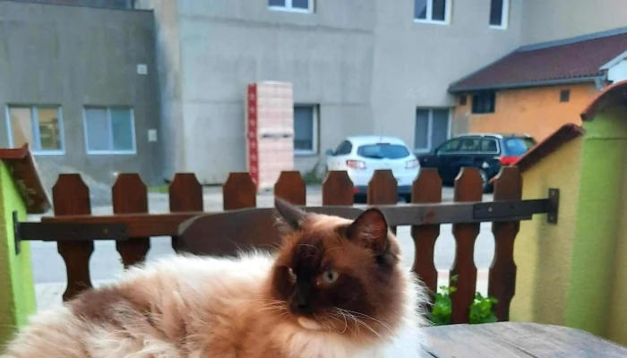 Hospudka U Zabaka Fotky - Topolná