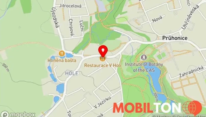 mapa Hostinec v Holi Restaurace, Rodinná restaurace, Hospoda v Příčná 227