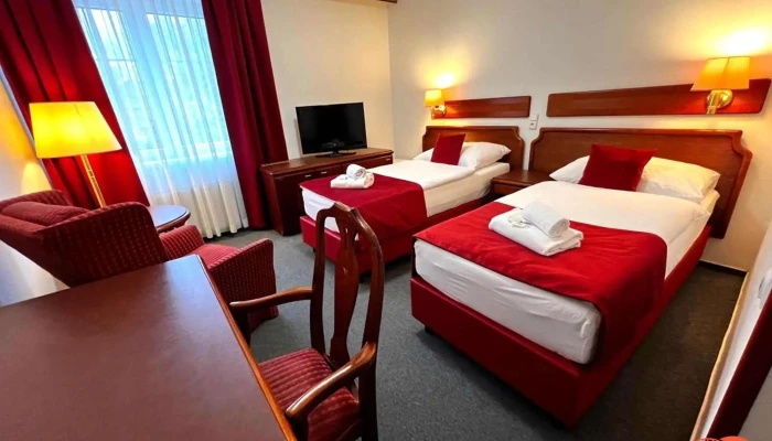 Hotel Bohemia Excellent -  Pokoje - Třebízského 184