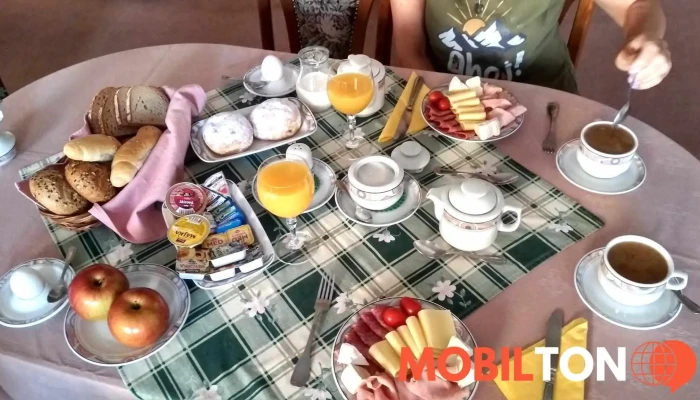 Hotel U Bileho Lva Jidlo A Piti - Havlíčkova 178