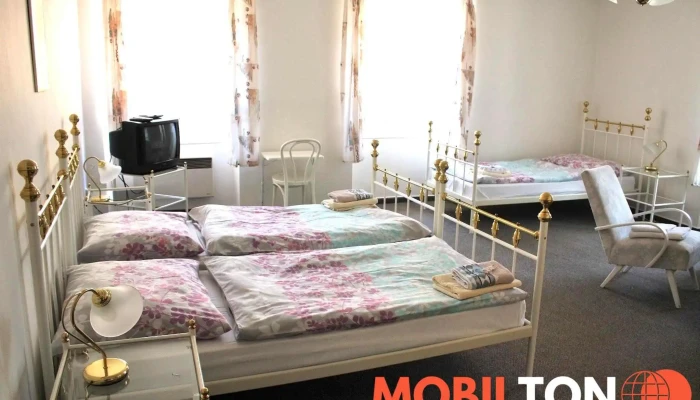 Hotel U Bileho Lva Od Hostu - Havlíčkova 178