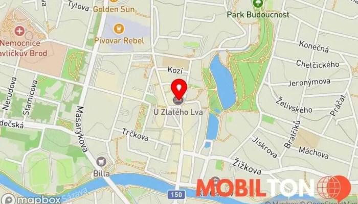 mapa Hotel U Zlatého lva Hotel v Havlíčkovo nám. 176